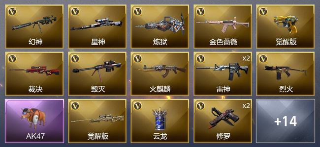 穿越火线（CF）1王者武器 24V武器 2V角色 14皮肤 可排位 新锐