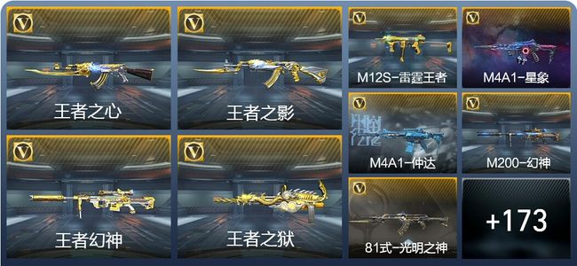 穿越火线：枪战王者V8 20王者武器 203英雄武器 6英雄角色 347万化 枪王SSS