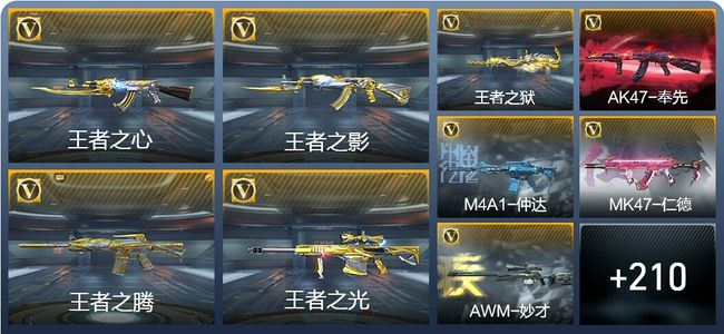 穿越火线：枪战王者24王者武器 219英雄武器 6英雄角色 413万化 专家S