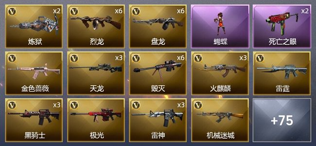 穿越火线（CF）8王者武器 8炫金武器 146V武器 5V角色 29皮肤 可排位 新锐