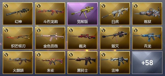 穿越火线（CF）3王者武器 2炫金武器 66V武器 4V角色 15皮肤 可排位