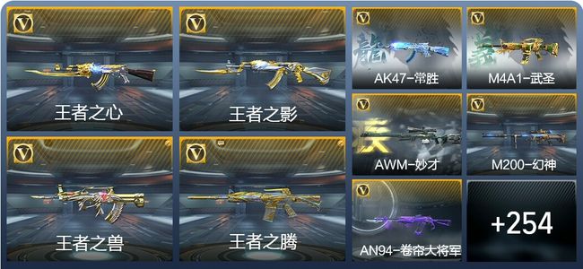 穿越火线：枪战王者V7 11王者武器 263英雄武器 6英雄角色 359万化 枪王SSS