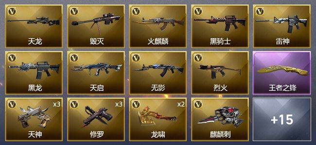 穿越火线（CF）4王者武器 24V武器 3V角色 5皮肤 可排位 枪王