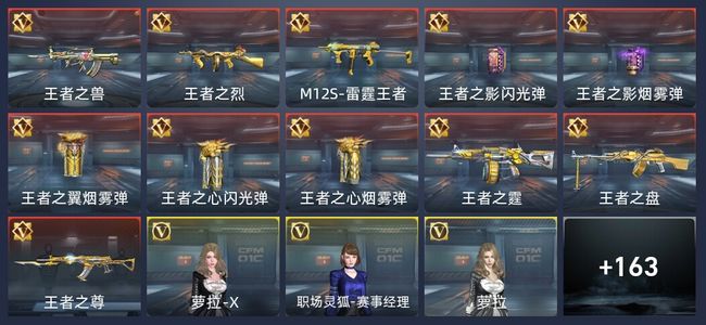 穿越火线：枪战王者V3 11王者 173英雄武器 5英雄角色 216万化 枪神