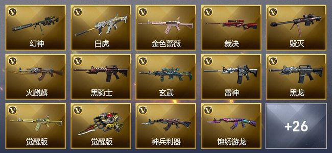 穿越火线（CF）1传说武器 1王者武器 38V武器 1V角色 16皮肤 可排位 枪王