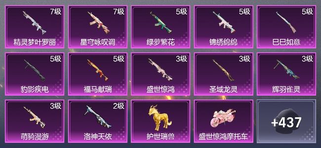 和平精英8载具 12升级枪 6粉装 10尾迹 254枪皮 177套装 85061热力 14印记 王牌