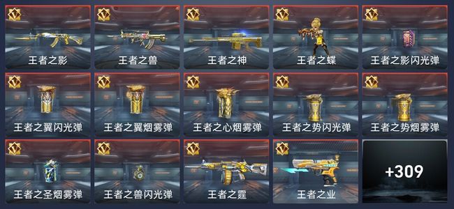 穿越火线：枪战王者V6 18王者 310英雄武器 13英雄角色 564万化 枪皇S