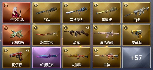 穿越火线（CF）1传说角色 2传说武器 3王者武器 1炫金武器 82V武器 4V角色 28皮肤 可排位 宗师