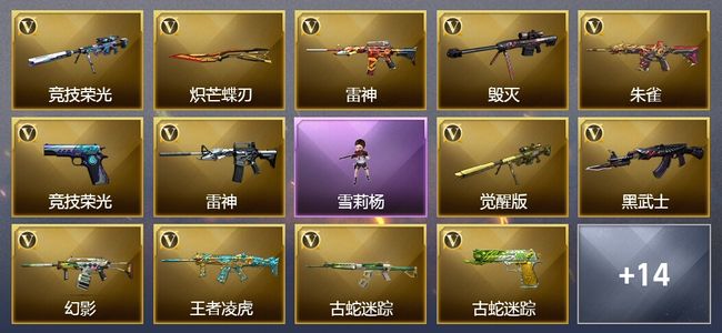 穿越火线（CF）33V武器 2V角色 4皮肤 可排位 新锐