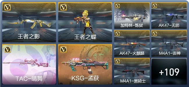 穿越火线：枪战王者V4 4王者武器 136英雄武器 9英雄角色 262万化 专家S