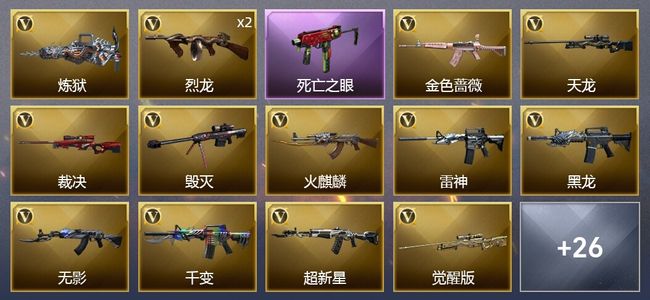 穿越火线（CF）1王者武器 3炫金武器 42V武器 1V角色 3皮肤 可排位 专家