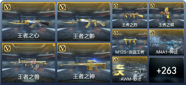 穿越火线：枪战王者V7 21王者武器 310英雄武器 8英雄角色 622万化 传奇