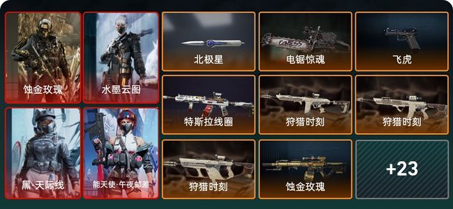 三角洲行动总资产343M 9干员外观 2近战 29传说枪械 烽火：黄金 战场：军士长