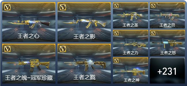 穿越火线：枪战王者V9 29王者武器 240英雄武器 22英雄角色 319万化 枪圣