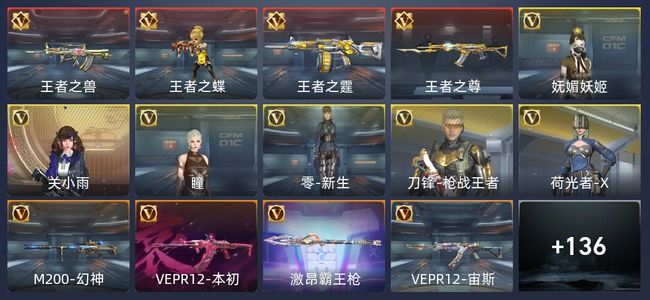 穿越火线：枪战王者V5 4王者 144英雄武器 6英雄角色 219万化 枪王SSS