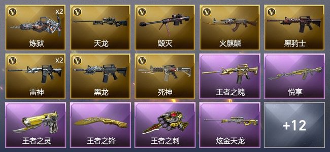 穿越火线（CF）5王者武器 1炫金武器 21V武器 2V角色 6皮肤 可排位 枪王