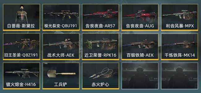 暗区突围库存价值13.9M 2近战武器 1金套装 10金枪皮 信誉5级 专家