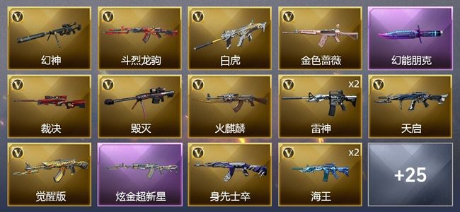 穿越火线（CF）1炫金武器 33V武器 1V角色 19皮肤 可排位 新锐