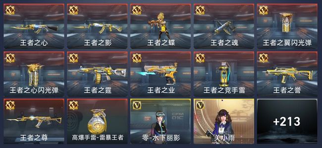 穿越火线：枪战王者12王者 219英雄武器 8英雄角色 293万化 专家S