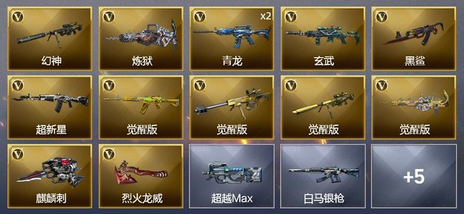 穿越火线（CF）13V武器 1皮肤 可排位 枪王