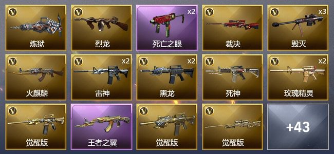 穿越火线（CF）2王者武器 55V武器 2V角色 13皮肤 可排位 传奇