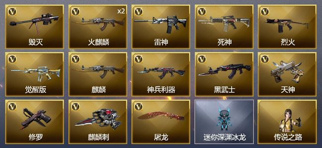 穿越火线（CF）14V武器 4皮肤 可排位 新锐