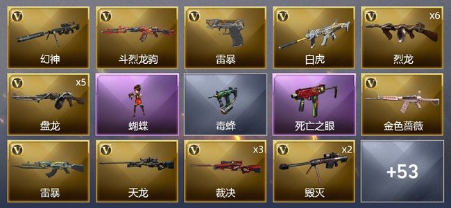 穿越火线（CF）5王者武器 6炫金武器 84V武器 1V角色 13皮肤 可排位 大师