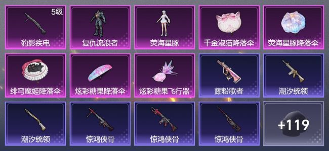 和平精英1升级枪 2粉装 1尾迹 78枪皮 54套装 22972热力 2印记 星钻