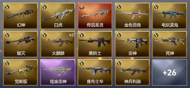 穿越火线（CF）1传说武器 1炫金武器 35V武器 1V角色 11皮肤 可排位 新锐