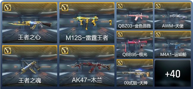 穿越火线：枪战王者5王者武器 49英雄武器 1英雄角色 30万化 枪皇S