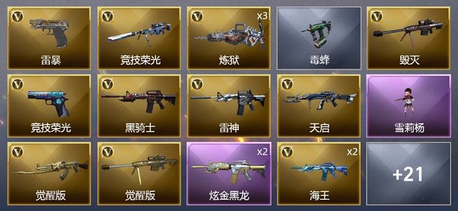 穿越火线（CF）1炫金武器 44V武器 1V角色 12皮肤 可排位 枪王