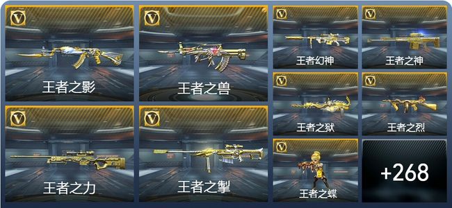 穿越火线：枪战王者V8 39王者武器 312英雄武器 9英雄角色 510万化 枪王SS