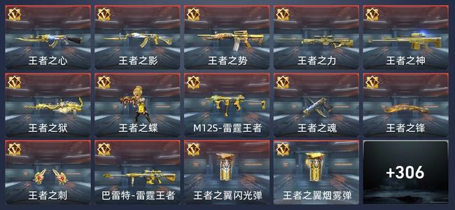 穿越火线：枪战王者V8 25王者 308英雄武器 12英雄角色 595万化 新锐