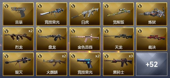 穿越火线（CF）1炫金武器 86V武器 1V角色 14皮肤 可排位 专家