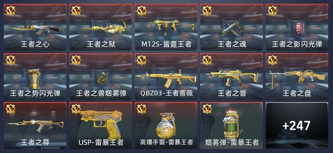 穿越火线：枪战王者14王者 251英雄武器 10英雄角色 370万化 枪神