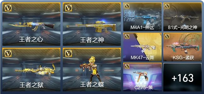 穿越火线：枪战王者8王者武器 172英雄武器 6英雄角色 260万化 专家S