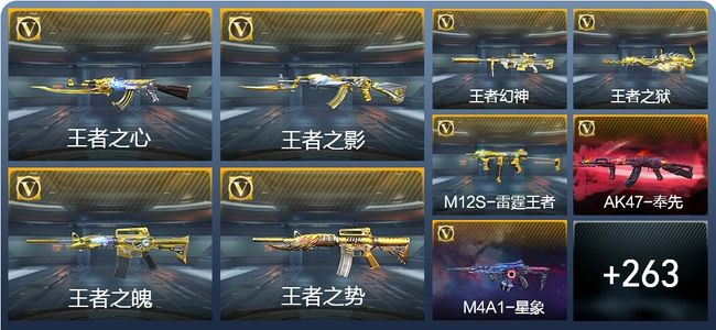 穿越火线：枪战王者V9 25王者武器 303英雄武器 12英雄角色 556万化 大师SS