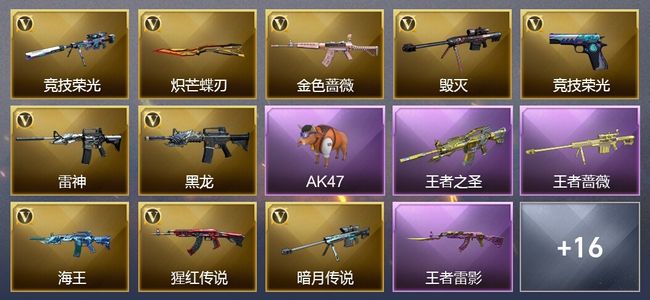 穿越火线（CF）1传说武器 3王者武器 22V武器 9皮肤 可排位 新锐