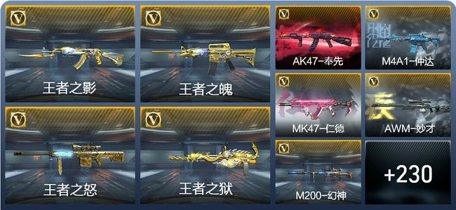 穿越火线：枪战王者V7 14王者武器 241英雄武器 8英雄角色 483万化 枪王SSS