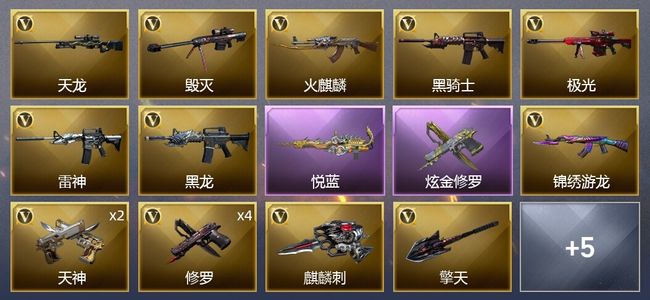 穿越火线（CF）1王者武器 1炫金武器 19V武器 1V角色 6皮肤 可排位 传奇