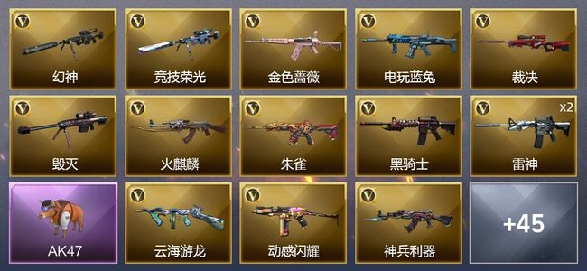 穿越火线（CF）1王者武器 51V武器 25皮肤 可排位 传奇