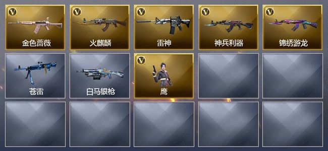 穿越火线（CF）5V武器 1V角色 3皮肤 可排位 新锐