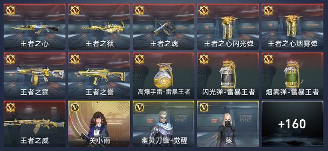 穿越火线：枪战王者V5 11王者 170英雄武器 6英雄角色 196万化 新锐