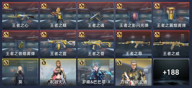 穿越火线：枪战王者10王者 196英雄武器 6英雄角色 210万化 专家S