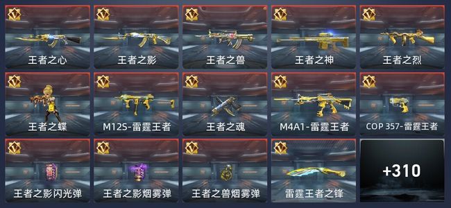 穿越火线：枪战王者23王者 313英雄武器 11英雄角色 443万化 枪王S