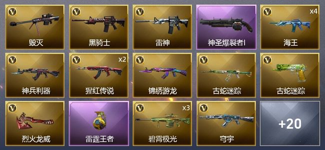 穿越火线（CF）1王者武器 18V武器 9皮肤 可排位 新锐