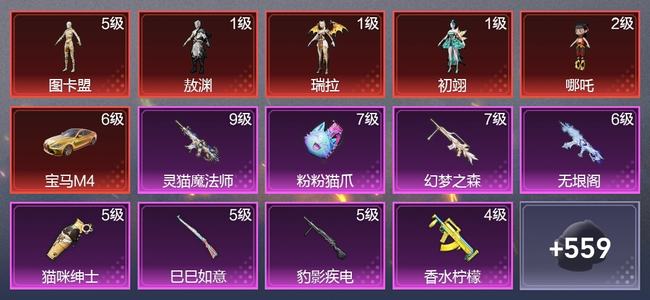和平精英【苹果版】12载具 20升级枪 16粉装 17尾迹 216套装 15,7601热力 25印记