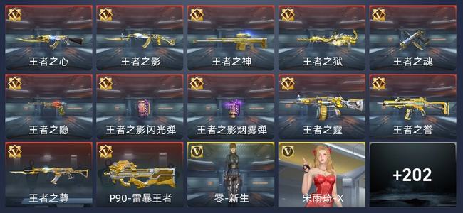 穿越火线：枪战王者12王者 212英雄武器 4英雄角色 333万化 新锐