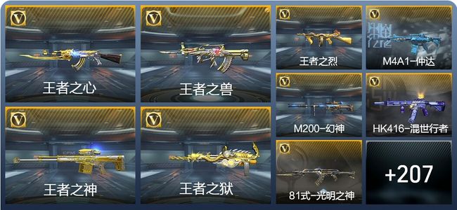 穿越火线：枪战王者V1 13王者武器 216英雄武器 6英雄角色 291万化 专家S