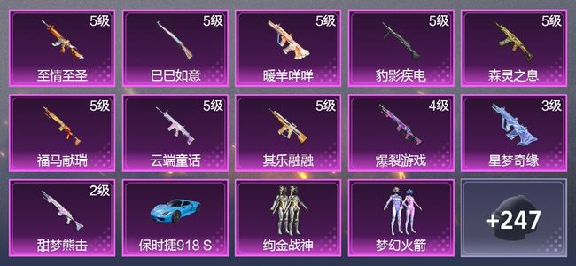 和平精英1载具 11升级枪 5粉装 2尾迹 166枪皮 103套装 43568热力 3印记 皇冠